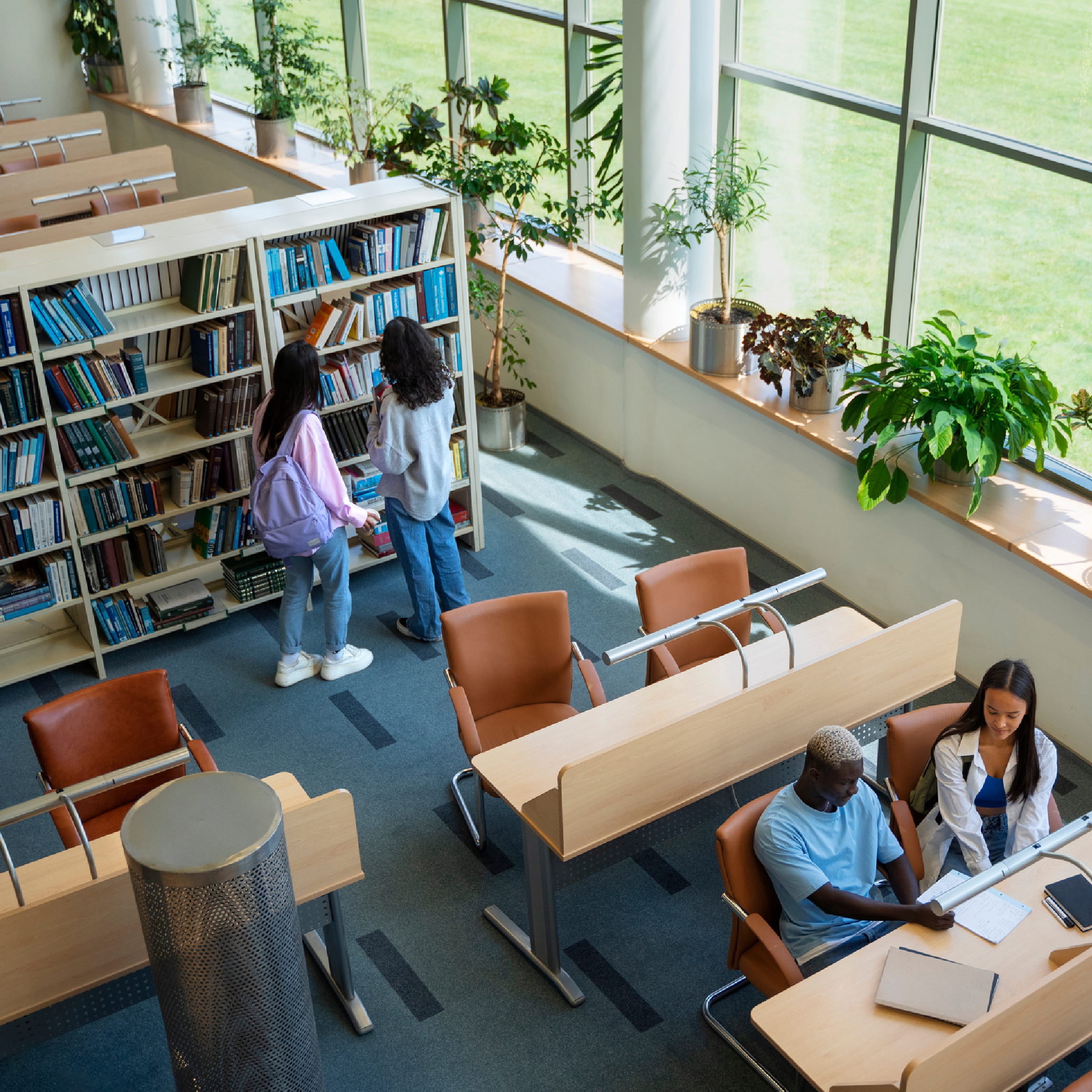 Imagem do segmento Inst. de Ensino